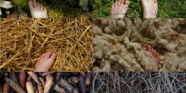 Sentier Nature et Sens - Parcours pieds nus