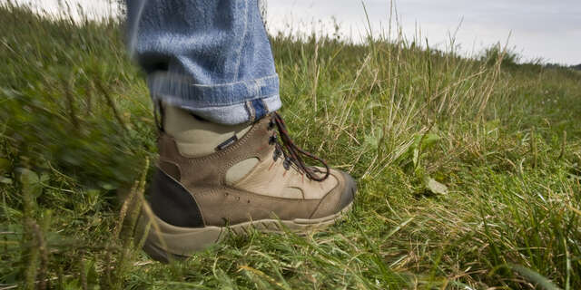 Clubs de randonnée pédestre - Pays de Questembert