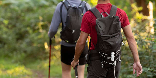 Randonnée pédestre du muguet