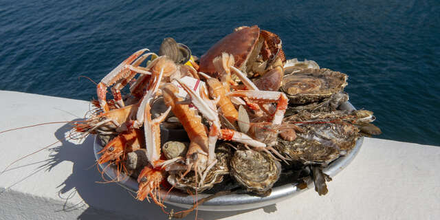 L'Hôtel du Phare : Le Bistrot et le Restaurant