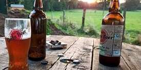 Guib's Beer