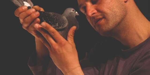 SPECTACLE | "Pigeons"par Kévin Defossez
