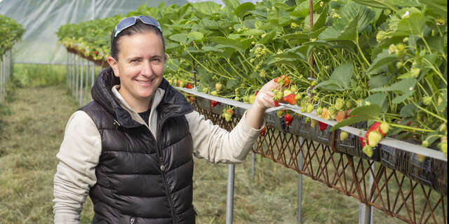 G.I.E. des producteurs de fruits rouges des Monts du Velay