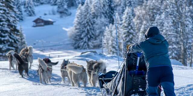 Sortie en chiens de traineaux