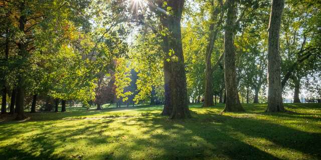 Parc Napoléon III