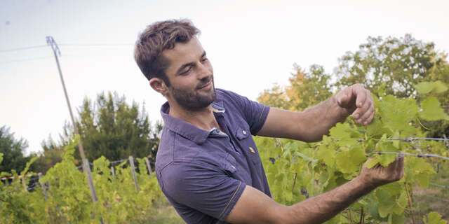 Domaine des Ardaillons - Thibault et Yannick Pras