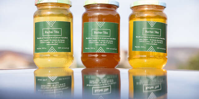 Rucher Tilia - honey bee producer