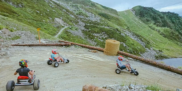 MountainCart