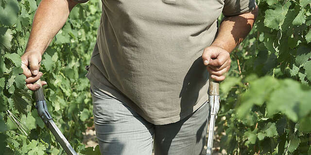 Domaine Pierre Gaillard