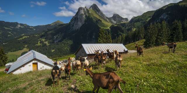 Panorama du Pré Richard