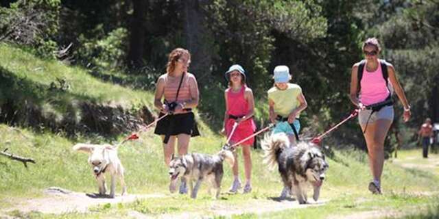 Cani-marche - Balade à 6 pattes avec Angaka