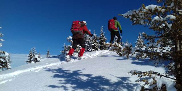 Itinéraire de ski de randonnée Prérond - Les Plagnes