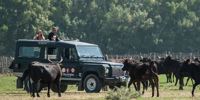 Camargue Autrement Safari 4x4