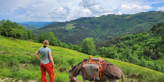 Randonnée avec les Ânes des Monts d'Ardèche