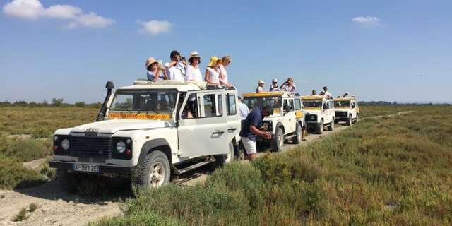 Camargue Alpilles Safari