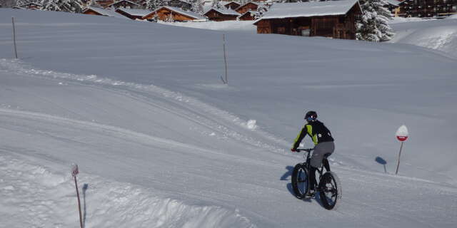 A la découverte du fatbike électrique