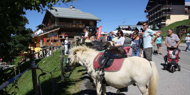 Balade en poney