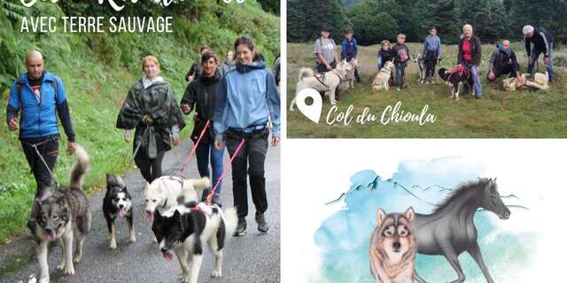 Perro-excursion con Terre Sauvage