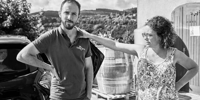 Domaine Reniteo - David Michelis