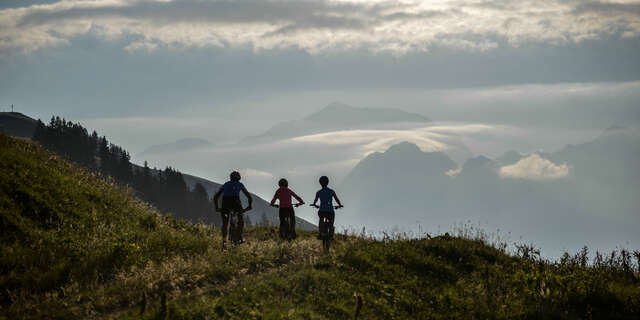 Electric mountain biking