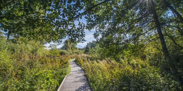 Sentier  d'interprétation du marais du Maravant