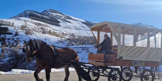 Carriage ride with optional dinner