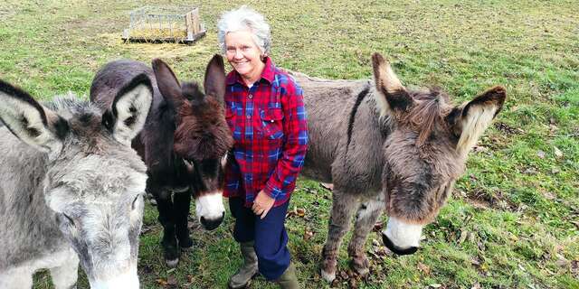 Familiarisez-vous avec les animaux de la ferme