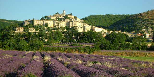 Office de Tourisme Intercommunal Haute-Provence Pays de Banon