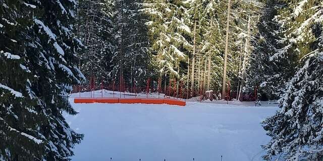 Pistes de luge au Collet