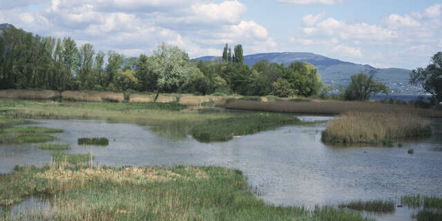 Lac du Bourget Observatory