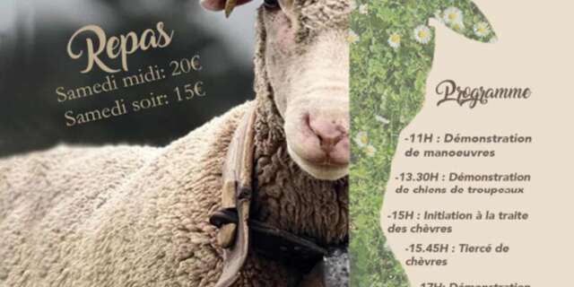 Fête de la brebis