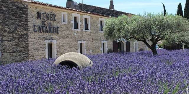 Musée de la Lavande Luberon