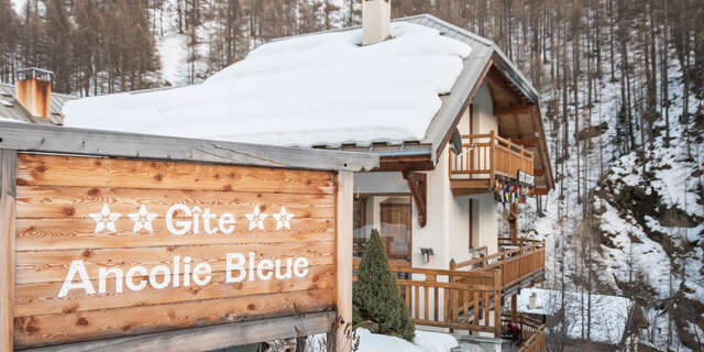 Ancolie Bleue