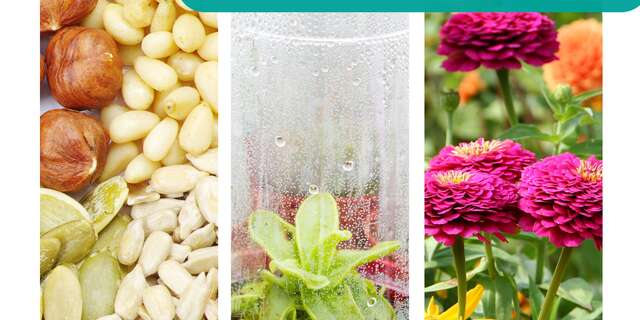 Jardinothèque & Grainothèque