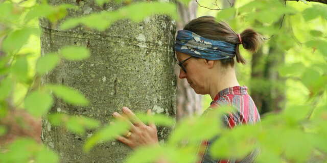 Améliorez votre bien-être intérieur grâce à une immersion nature - Niveau confirmé