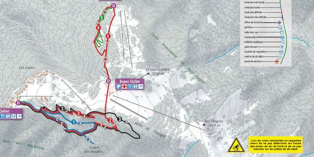 Parcours raquettes au Collet