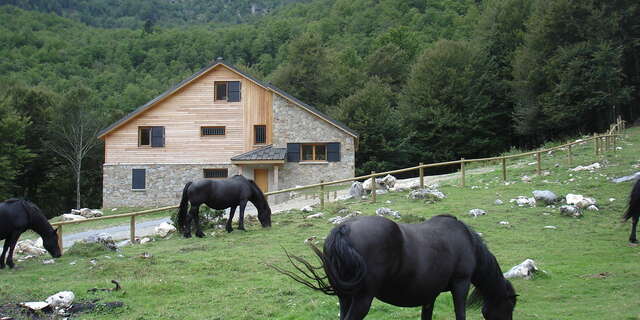 Terre d'Avenir forest lodge