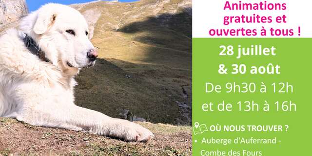 Sensibilisation des randonneurs face aux chiens de protection - Le Reposoir