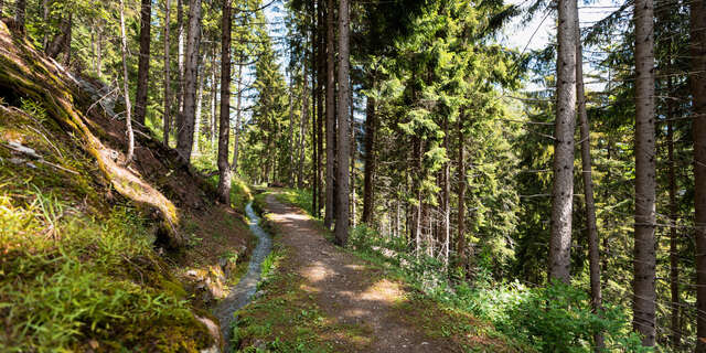 Bisse des Ravines