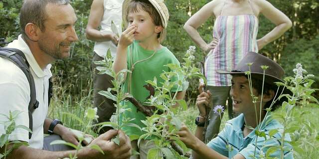 Foraging and cooking with wild plants