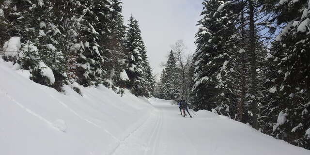 Domaine nordique du Col de Marcieu