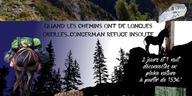 Séjour rando ânes deconnecté en refuge insolite