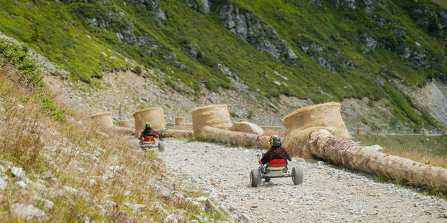 MountainCart