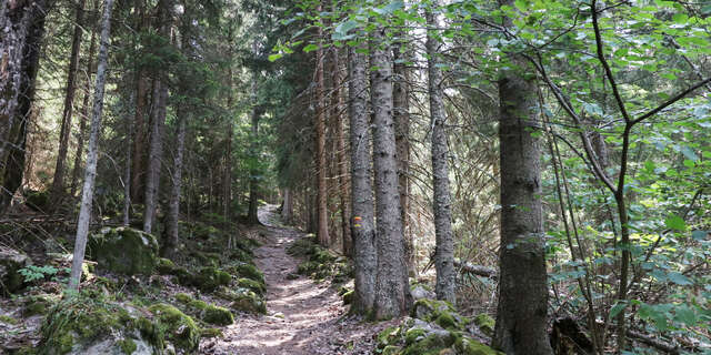 La source ferrugineuse