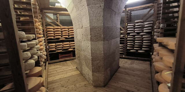 Fabrication de faisselle et visite des caves d'affinage