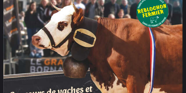 Foire agricole de la Saint-Maurice - Landwirtschaftsausstellung