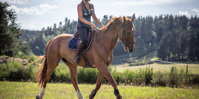 Centre équestre : Ferme de Vovady