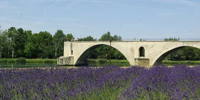 Pont d'Avignon (Saint-Bénezet)