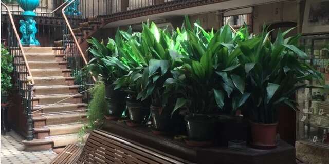 Les visites guidées en famille du musée des bains Pommer