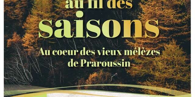 Sortie Parc - La forêt au fil des saisons